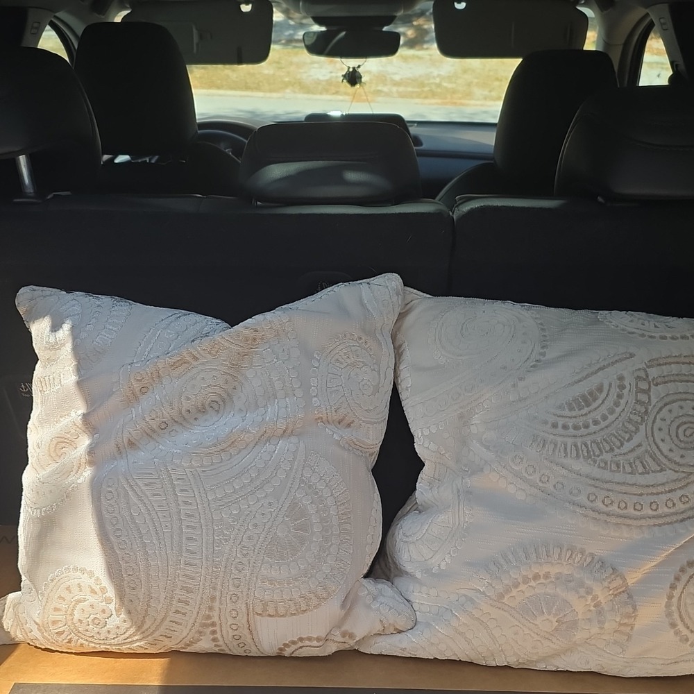 Pier 1 Imports Paisley Beige Decorative Pillows 18x18 Polyester Removable Cover